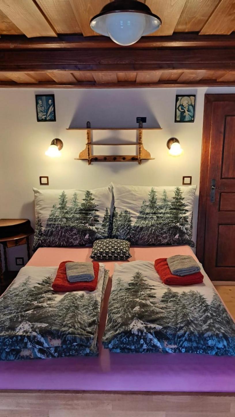 Penzion Pod Zeleznym Vrchem Chribska Luaran gambar